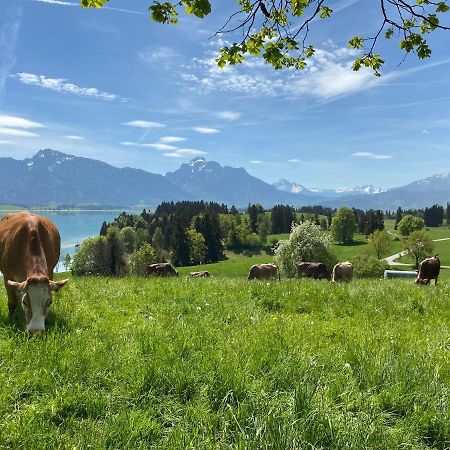 Best Butler Boho Boutique City Apartment Netflix Füssen Dış mekan fotoğraf