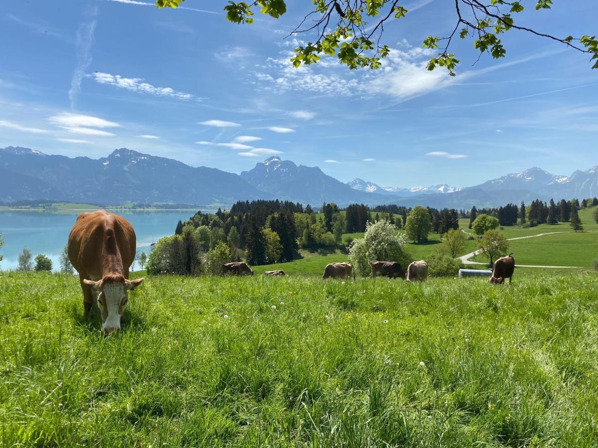 Best Butler Boho Boutique City Apartment Netflix Füssen Dış mekan fotoğraf
